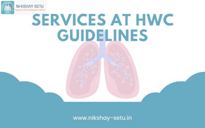 Featured image for blog post: Services at HWC guidelines
